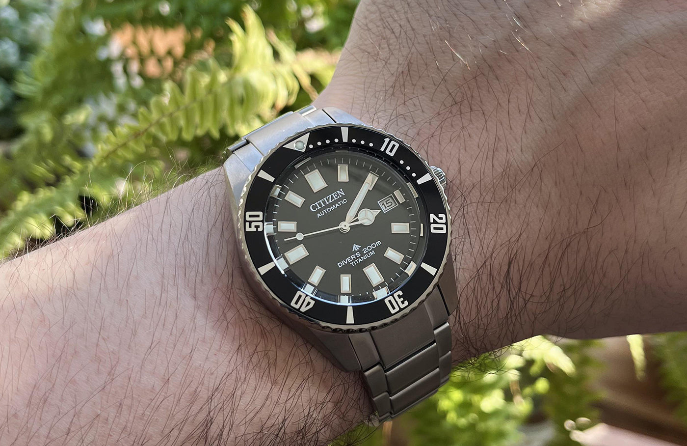 World Class Citizen Watches