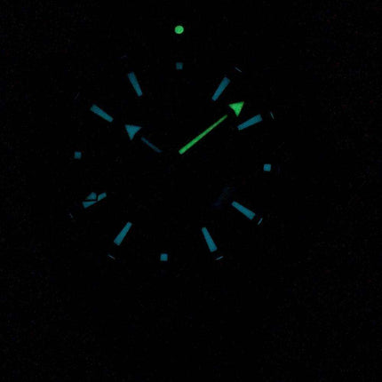 Omega Seamaster Professional Planet Ocean 600M GMT Automatic 215.92.46.22.01.001 Men's Watch