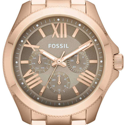 Fossil Cecile Multifunction Rose Gold-Tone Brown AM4533 Women's Watch