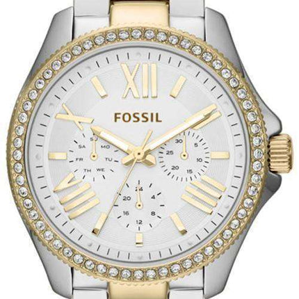 Fossil Cecile Multifunction Crystal Two Tone AM4543 Women's Watch