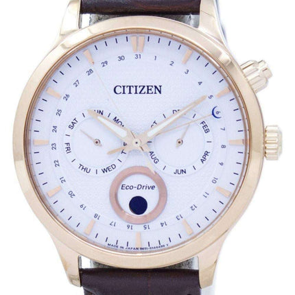 Citizen Eco-Drive Moon Phase Japan Made AP1052-00A Men's Watch