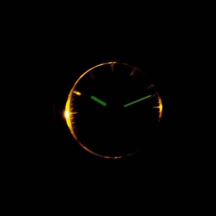 Casio Analog Digital Telememo Illuminator AW-80D-2AVDF AW80D-2AVDF Men's Watch