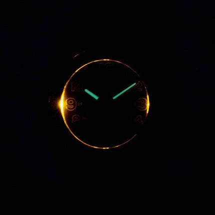 Casio Analog Digital Telememo Illuminator AW-80V-1BVDF AW80V-1BVDF Men's Watch