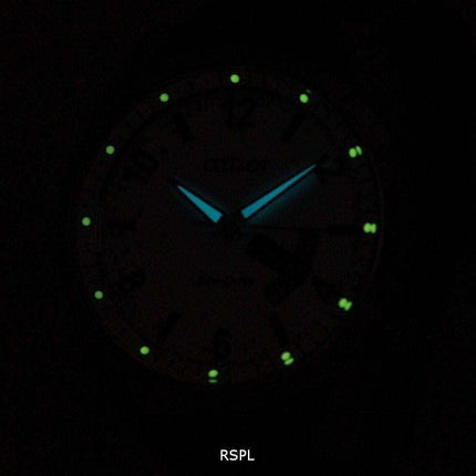 Citizen Eco-Drive Day-Date AW0010-01A