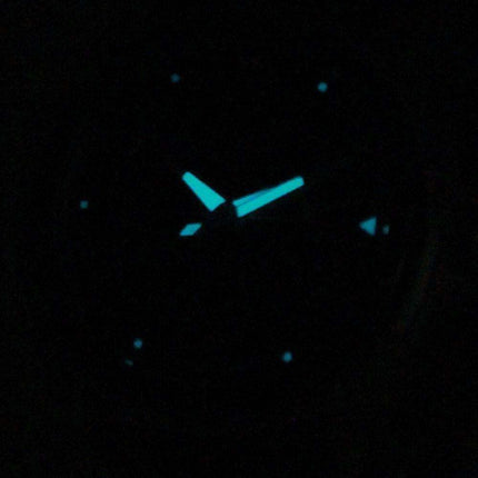 Citizen Eco-Drive AW1060-08E Men's Watch