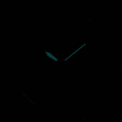 Citizen Aviator Eco-Drive Mesh Band AW1364-54A Men's Watch