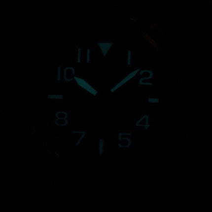 Citizen Eco-Drive Military 200M AW1410-24E Men's Watch