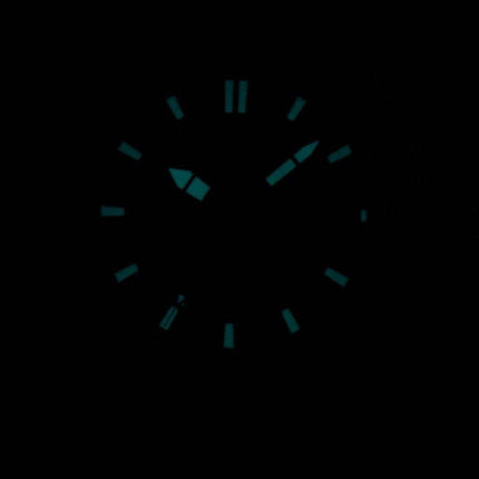 Citizen Eco-Drive Diver's 200M AW1420-04E Men's Watch