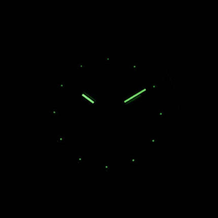 J.Springs by Seiko Automatic 21 Jewels Japan Made BEB529 Men's Watch