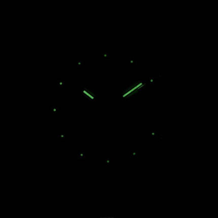 J.Springs by Seiko Automatic 21 Jewels Japan Made BEB550 Men's Watch