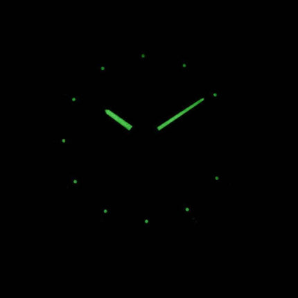 J.Springs by Seiko Automatic 21 Jewels Japan Made BEB558 Men's Watch