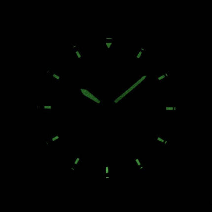 Citizen Quartz Black Dial BI1050-81F Men's Watch