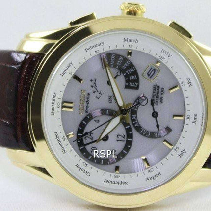 Citizen Perpetual Calendar Eco-Drive BL8002-08A/BL8003-05A Men's Watch
