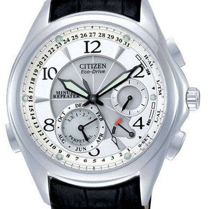 Citizen Eco Drive BL9007-33A Mens Watch