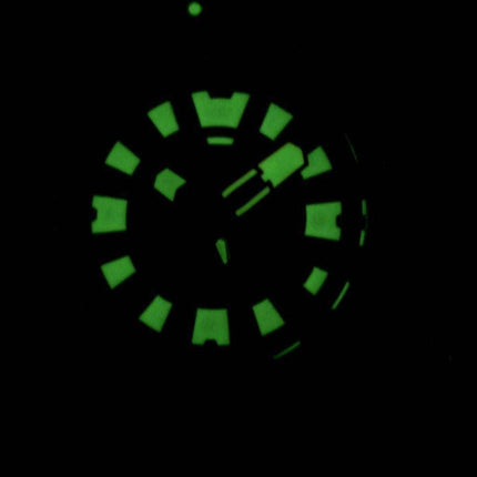 Citizen Promaster Eco-Drive Professional Diver's 300M DLC Japan Made BN0176-08E Men's Watch