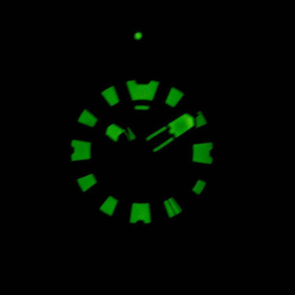 Citizen Promaster Eco-Drive Professional Diver's 300M DLC Japan Made BN0177-05E Men's Watch