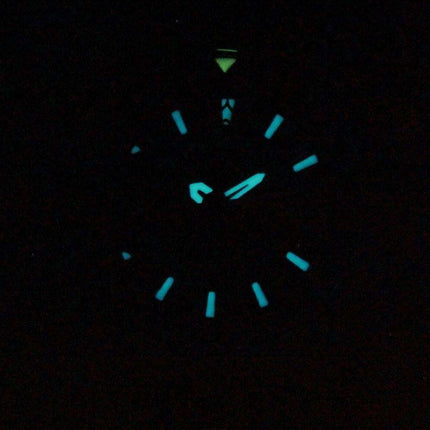 Citizen Altichron Eco-Drive Promaster BN4021-02E Men's Watch
