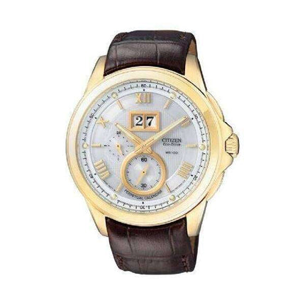 Citizen Eco-Drive Perpetual Calendar BT0006-01A / BT0003-17A