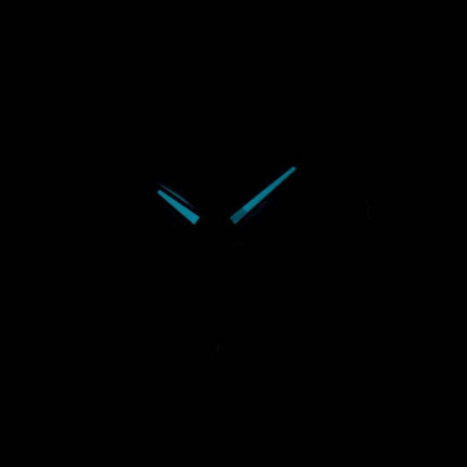 Citizen Paradex Eco Drive BU4010-56E Men's Watch