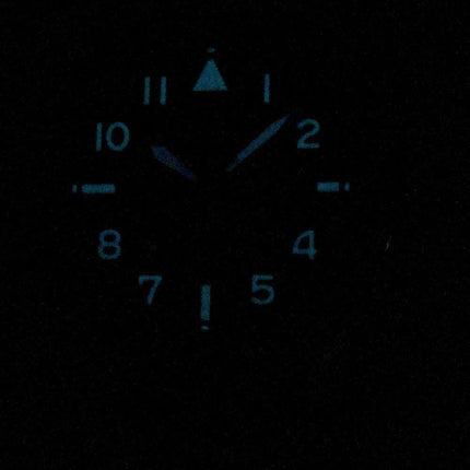Citizen Promaster Nighthawk BX1010-02E World Time Eco-Drive 200M Men's Watch