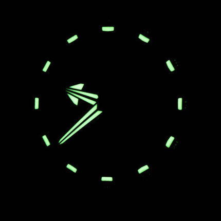 Citizen Eco-Drive Satellite Wave Air GPS Titanium Sapphire CC1054-56E Men's Watch