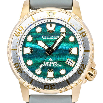 Citizen Promaster Limited Edition Polyurethane Strap Blue Dial Eco-Drive Diver's EO2023-00W 200M Women's Watch