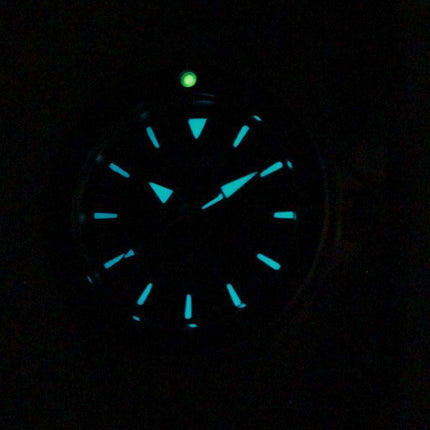 Citizen Eco-Drive Promaster Diver's EP6040-53E Women's Watch