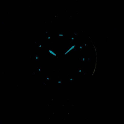 Citizen Eco-Drive Radio Controlled ES4020-53E Women's Watch