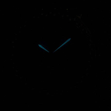 Citizen Eco-Drive Swarovski Crystal Accents EV1016-58A Women's Watch