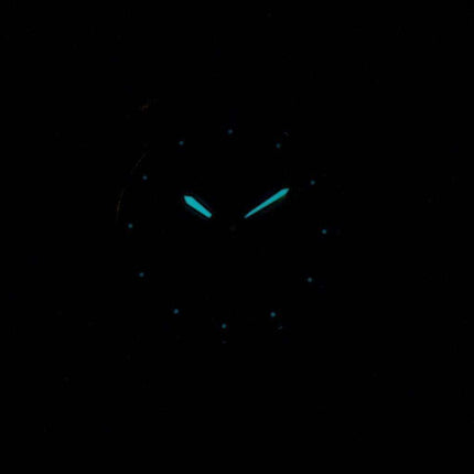 Citizen Eco-Drive EW3144-51A Women's Watch