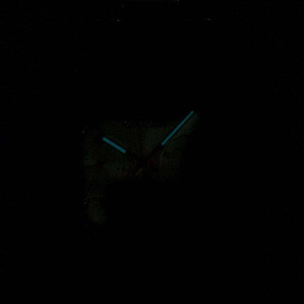 Citizen Eco-Drive Silhouette Crystal FD2042-51P Women's Watch