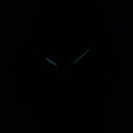 Citizen Eco-Drive Silhouette Crystal FD2047-58E Women's Watch