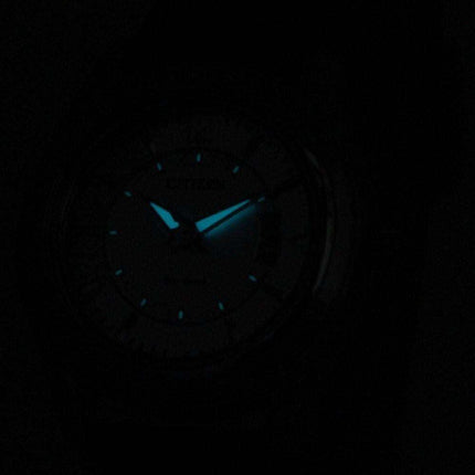 Citizen Eco-Drive Power Reserve FE1011-03B Women's Watch