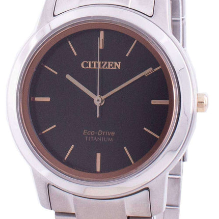 Citizen Eco-Drive Titanium FE7024-84E Women's Watch