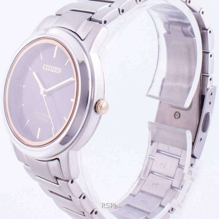 Citizen Eco-Drive Titanium FE7024-84E Women's Watch
