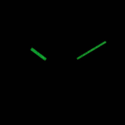 Swatch Originals Shunbukin Quartz Multicolor GG215 Unisex Watch