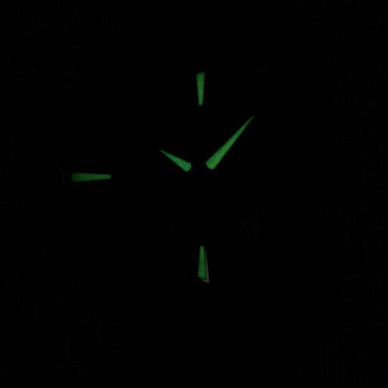 Hamilton Ventura Elvis80 Automatic H24585731 Men's Watch