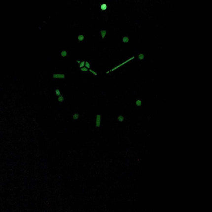Invicta Pro Diver Professional 29177 Automatic Analog 200M Men's Watch