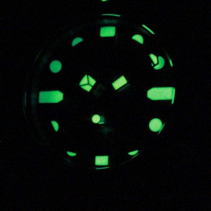 Citizen Aqualand Diver Depth Meter Promaster JP1010-00L JP1010
