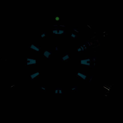 Citizen Aqualand Promaster Diver's 200M Analog Digital JP1090-86X Men's Watch