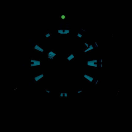 Citizen Aqualand Promaster Diver's 200M Analog Digital JP1093-11P Men's Watch
