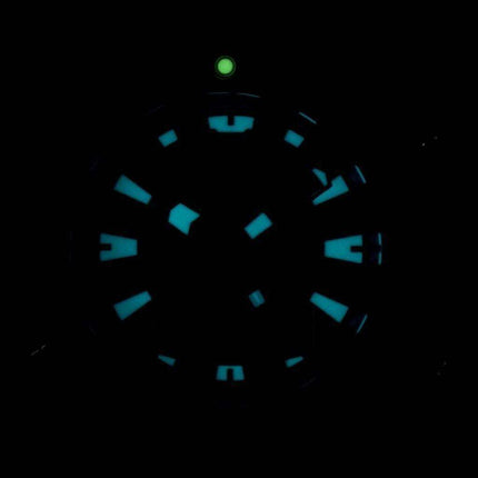 Citizen Aqualand Promaster Diver's 200M Analog Digital JP1098-17E Men's Watch