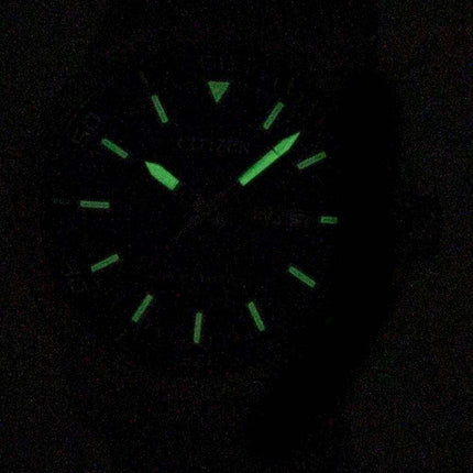Citizen Analog Automatic NH8370-86L Men's Watch