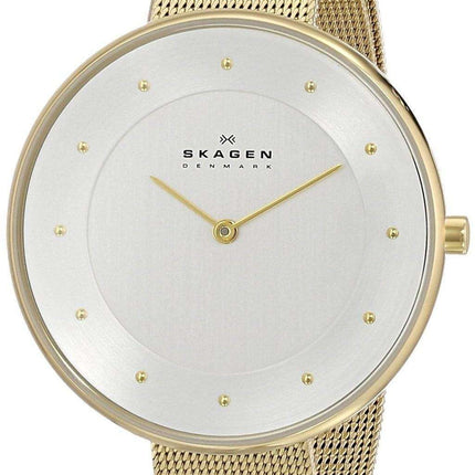 Skagen Silver Dial Gold-Tone Mesh Bracelet SKW2141 Women's Watch
