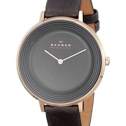 Skagen Ditte Quartz Grey Dial SKW2216 Women's Watch