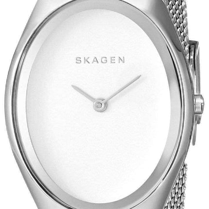 Skagen Madsen Matte Silver Dial Stainless Steel Mesh Bracelet SKW2297 Women's Watch