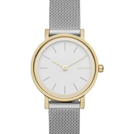 Skagen Hald Steel Mesh Quartz SKW2445 Women's Watch