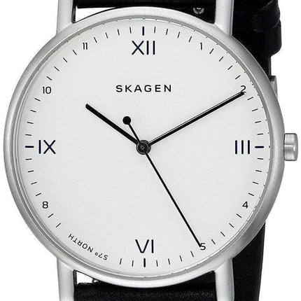 Skagen x Playtype Signatur Quartz SKW6412 Men's Watch