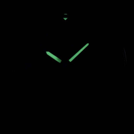 Seiko Solar SNE477 SNE477P1 SNE477P Men's Watch