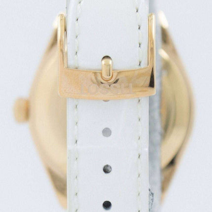 Tissot T-Classic PR 100 Lady Quartz T101.210.36.031.01 T1012103603101 Women's Watch
